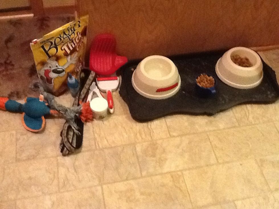 The materials for the dog:)