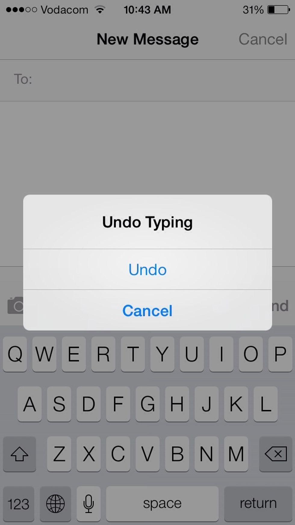 The message box in the picture above will appear. Tap undo to delete what you typed or cancel if you want to leave what you typed.