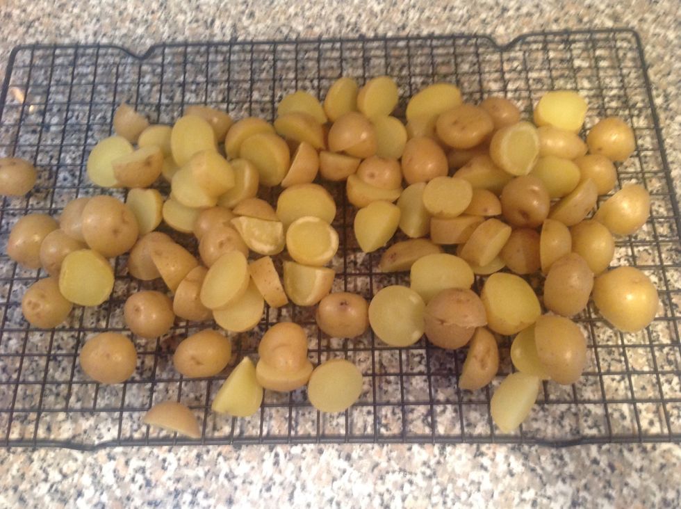 The MOST IMPORTANT STEP, let potatoes cool to ROOM TEMP.