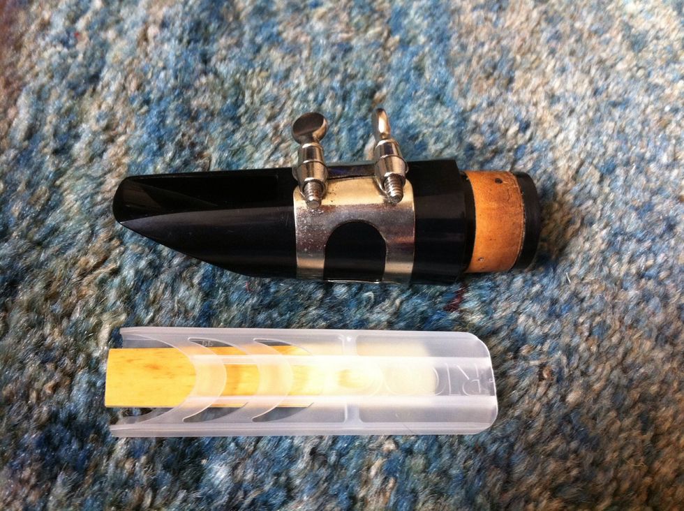 the mouthpeice and reed