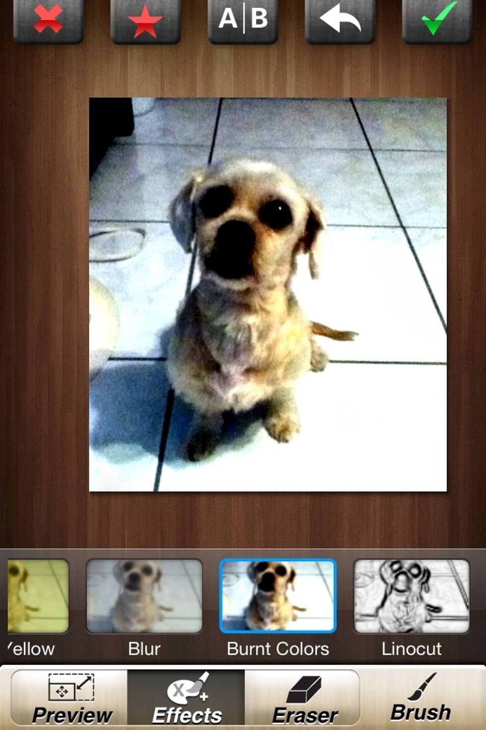 The Name 'Burnt Colors' Kinda Speaks For Itself \ud83d\ude1c