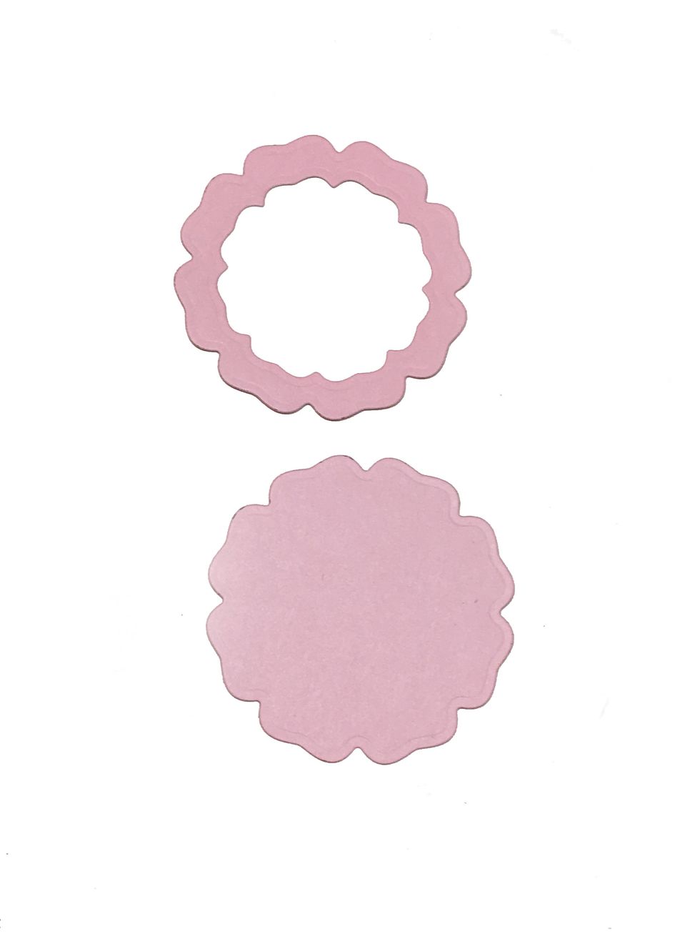 The nested dies will allow you to cut a base piece (solid flower at the bottom) and a frame (at the top) where your shaker pieces will show through.