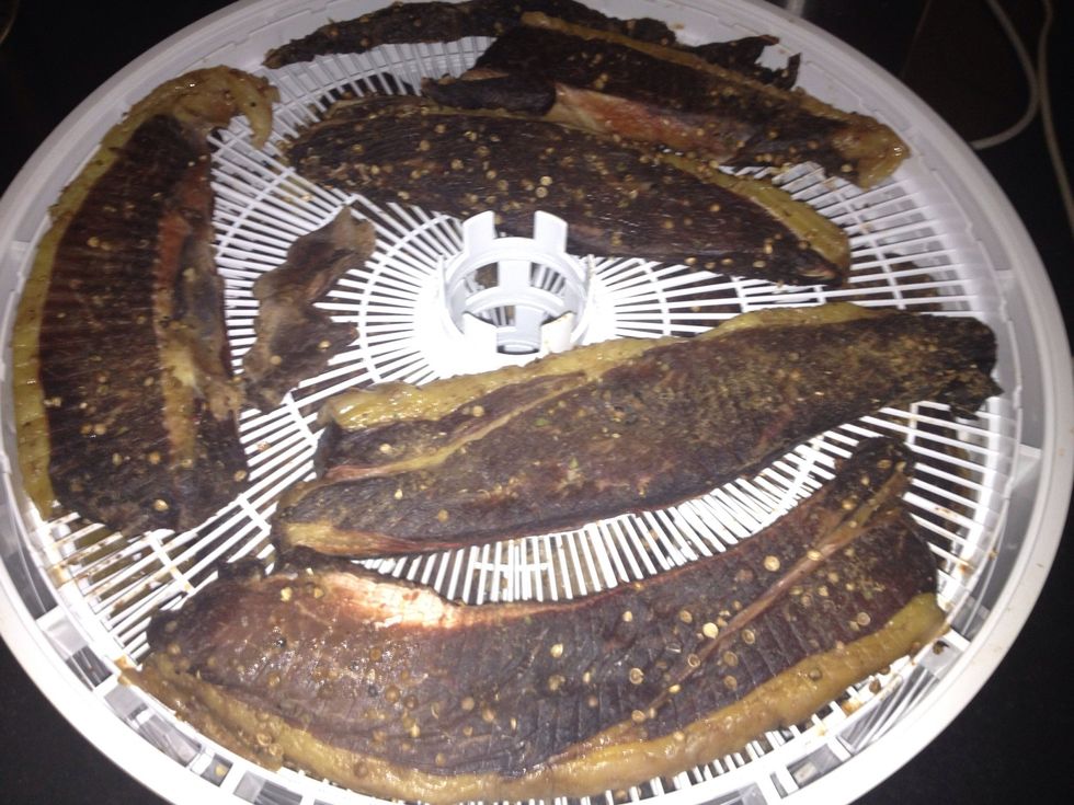 The next morning turn your meat