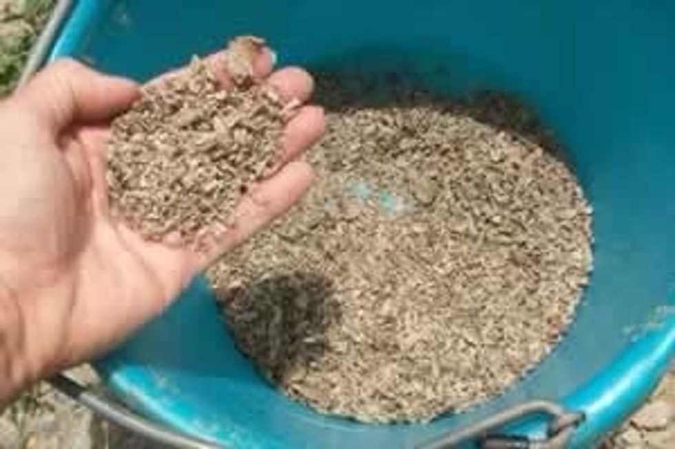 The next step is to remove the pot from the stove and add a scoop of beet pulp shreds to the mixture.