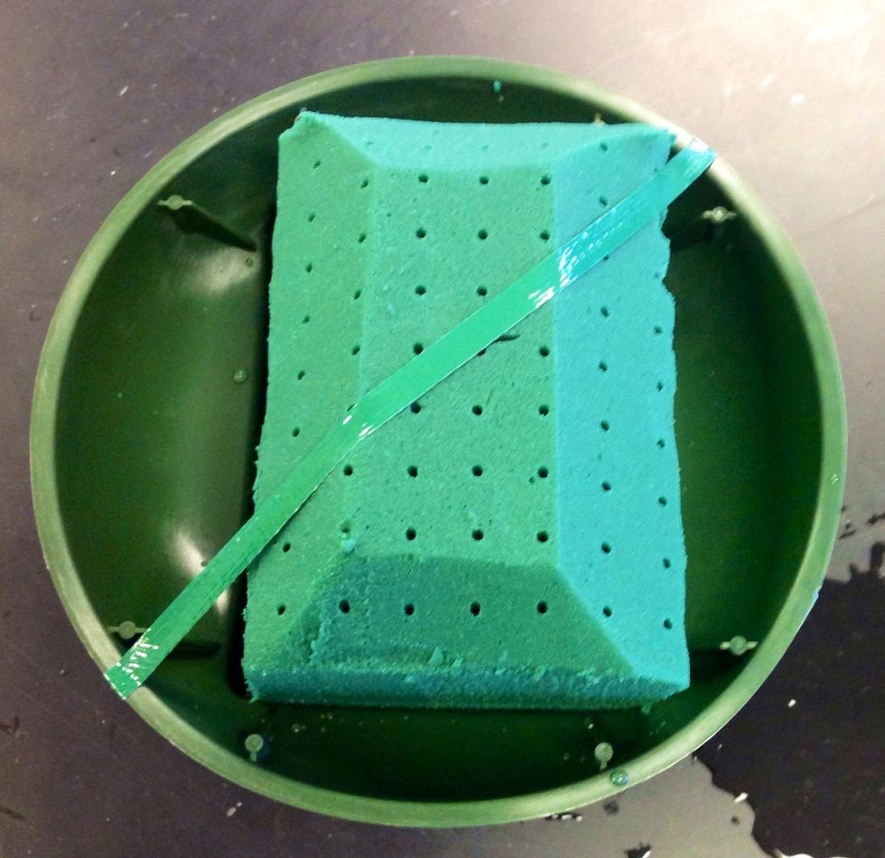 The next step is to take a short piece of anchor tape and put it over the oasis horizontally. This step holds the piece of oasis securely in the standard dish in case it comes loose from the dish.