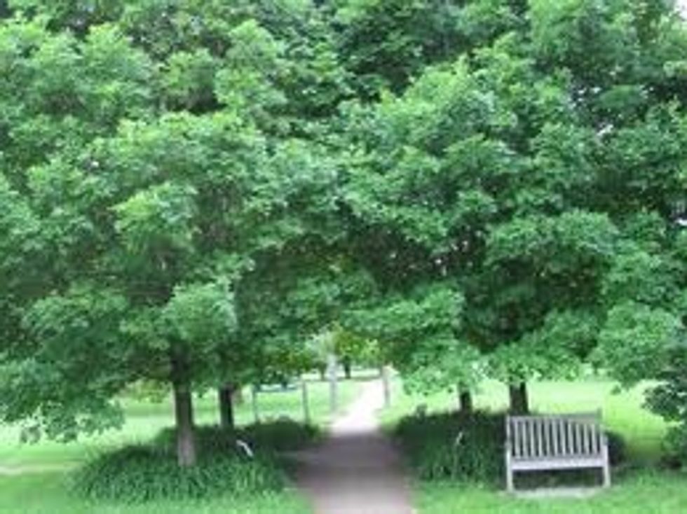 The OLC has lots of green.
