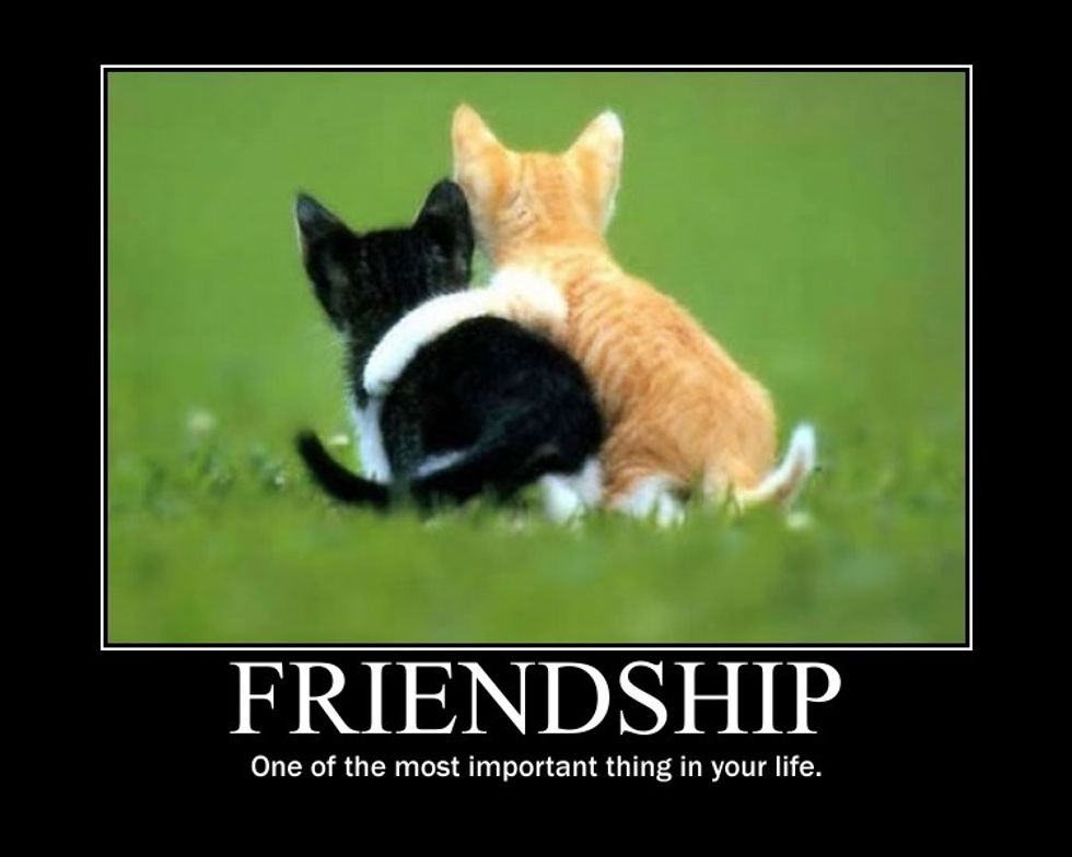 The people who keep you up when you're down- those are true friends. Friends help you succeed because they motivate you and give you support.