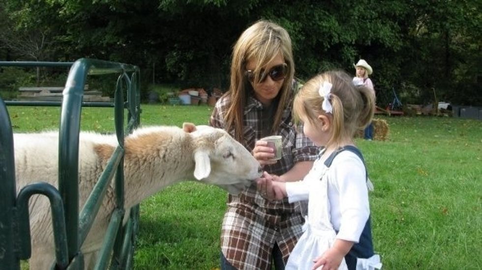 The petting farm was the main costs but they brought the animals with food so the children could feed them. Most of the children were two to four years old and they loved this.