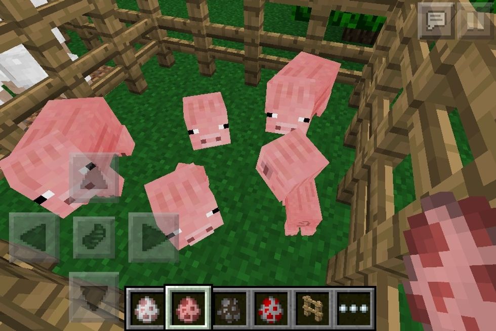 The pigs