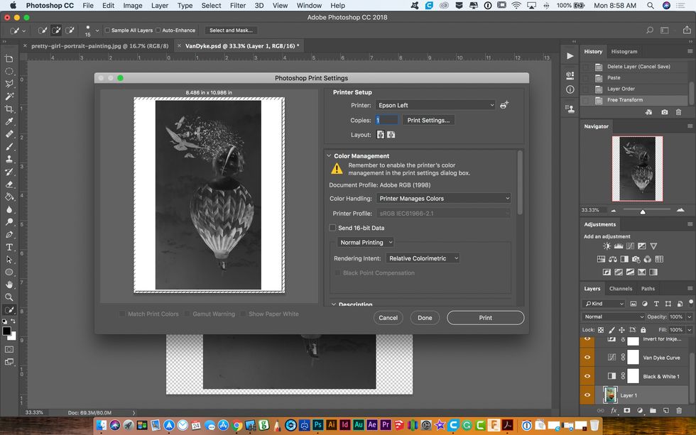 The print dialog box will open.