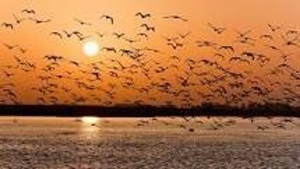 The purpose of life is to live it, to taste the experience to the utmost , to reach out eagerly and without fear for a newer richer experience. - Eleanor Roosevelt