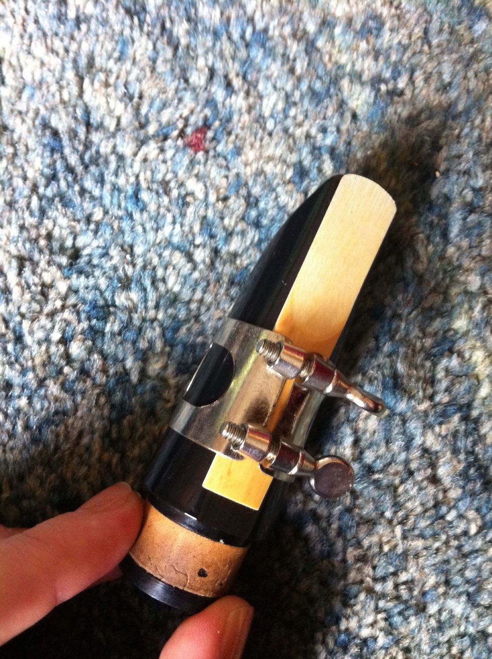 the reed on the mouthpeice