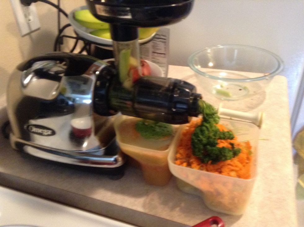 The rest of the fruits and veggies to push the spinich through.