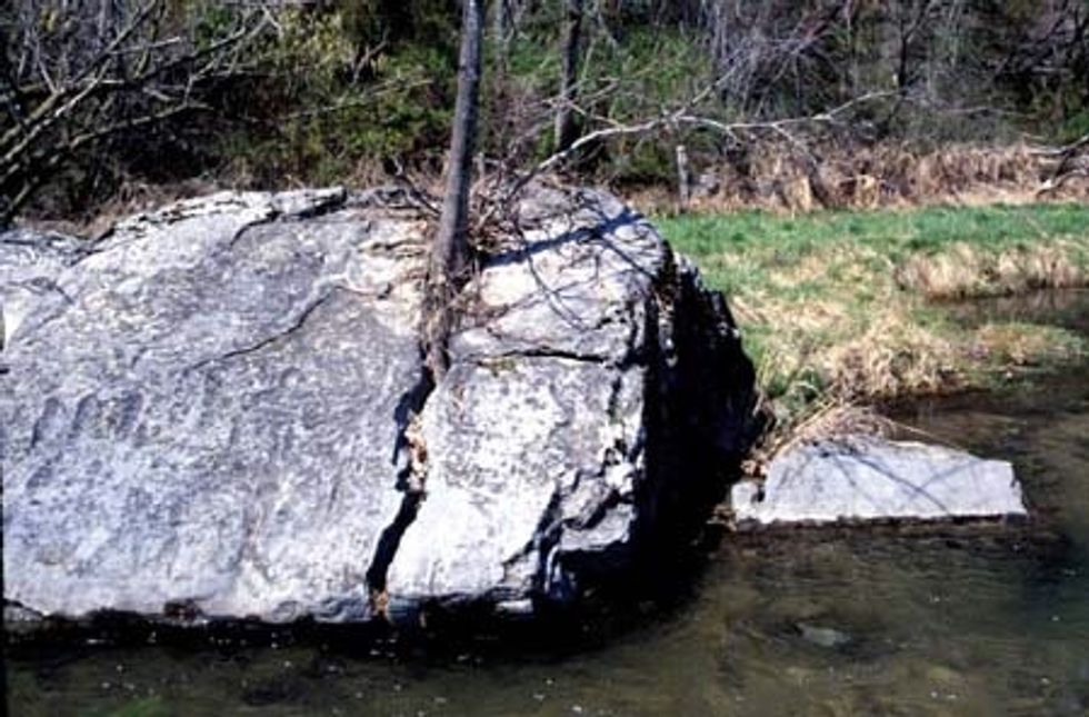 The rock was split open because of the root digging into the rock (weathering)