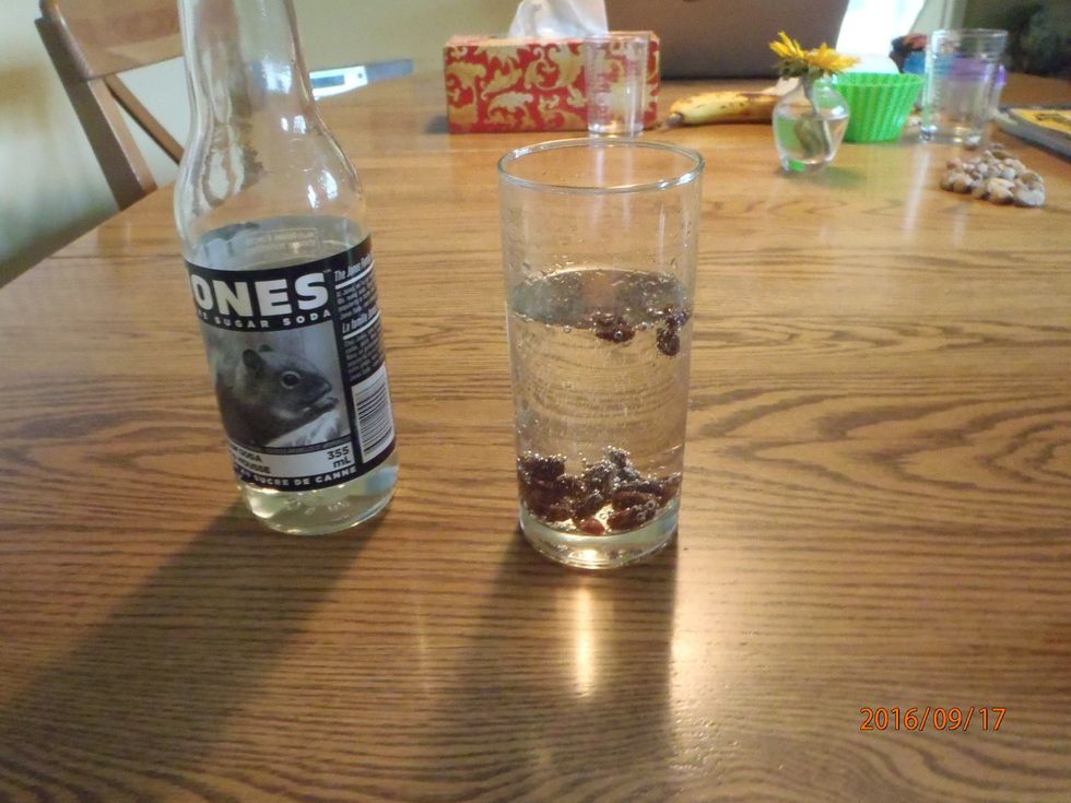 The science behind floating raisins...