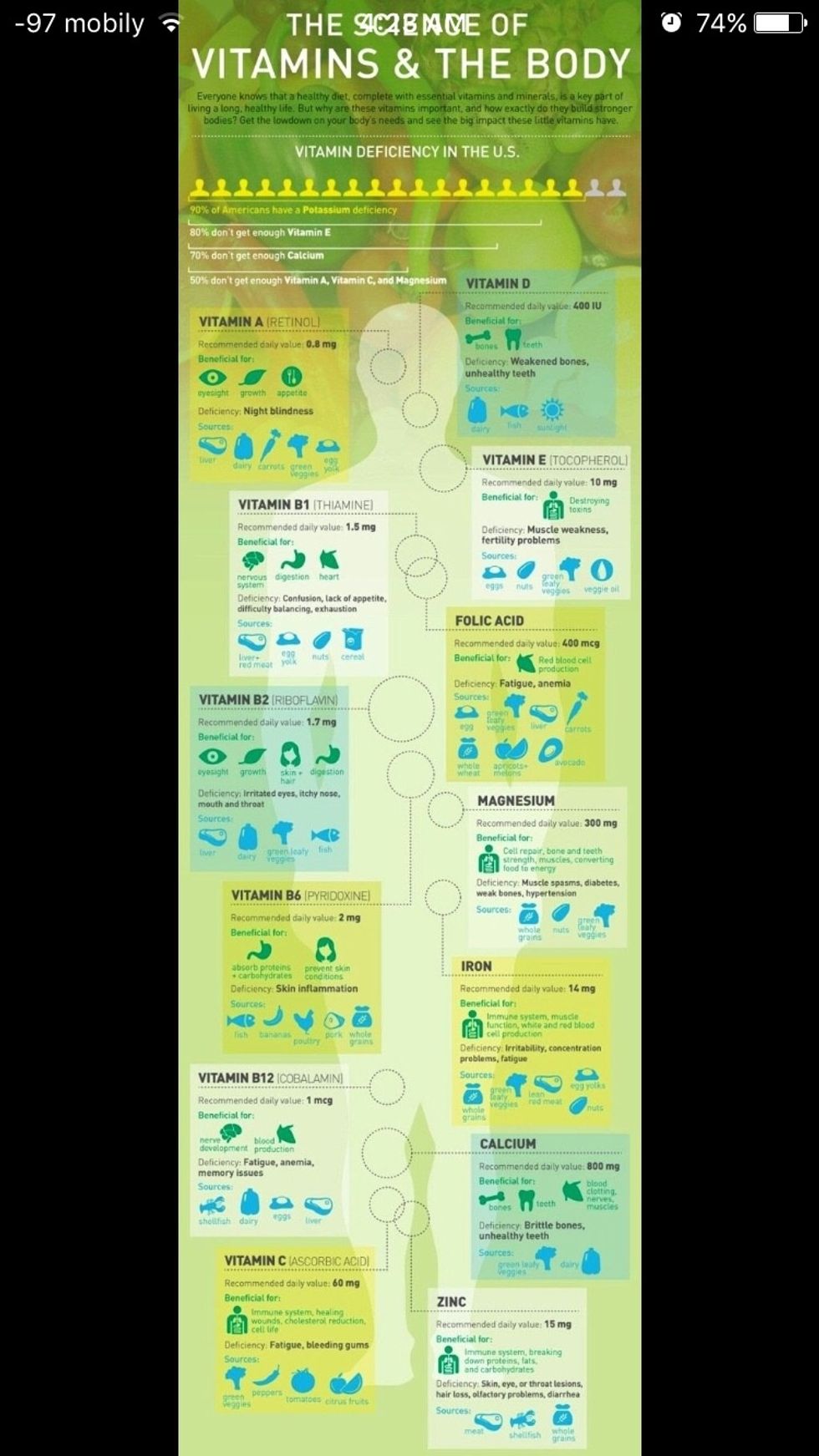 THE SCIENCE OF VITAMINS