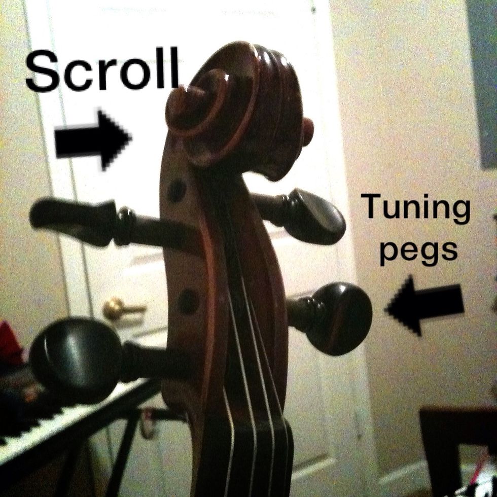 The scroll and the four tuning pegs.