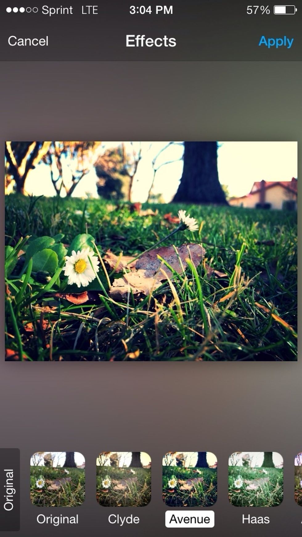the second option(effects) is basically just different filters you can add on your photo  I chose the one called Avenue