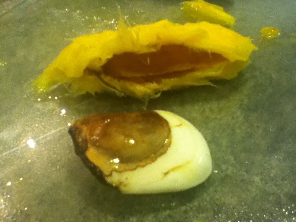 The seed and what it came out of.