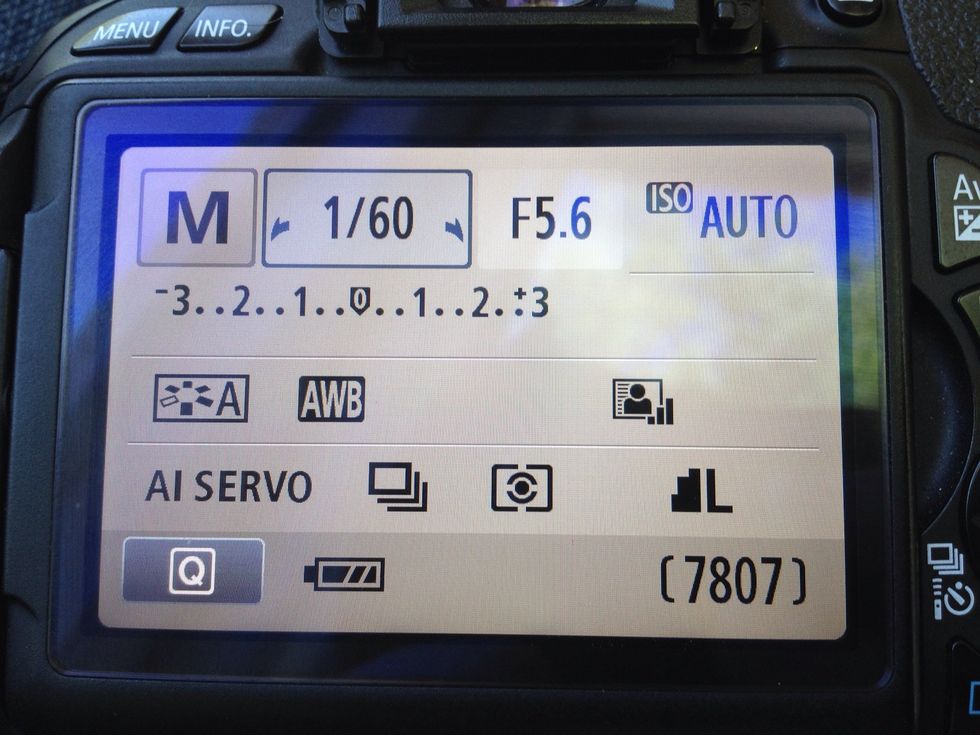 The settings you see on the screen, are default when you select manual mode.  In good lighting, these settings work great.