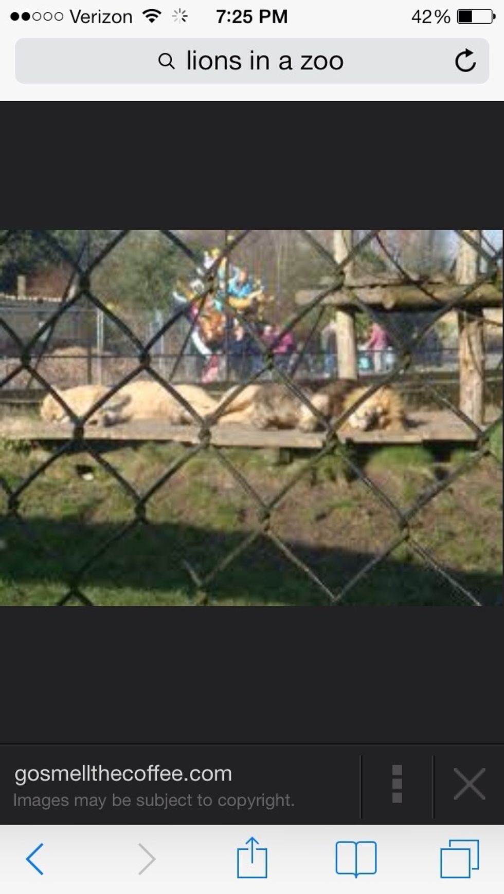 The shadows came, and did a massive amount of genocide. There's nothing left of the land other than an assault of the hometown they once knew.