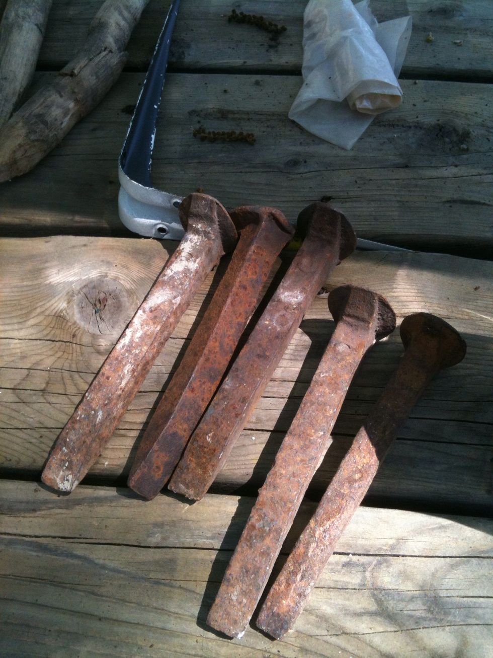 The spikes, that were found on walks on the old rail trail.