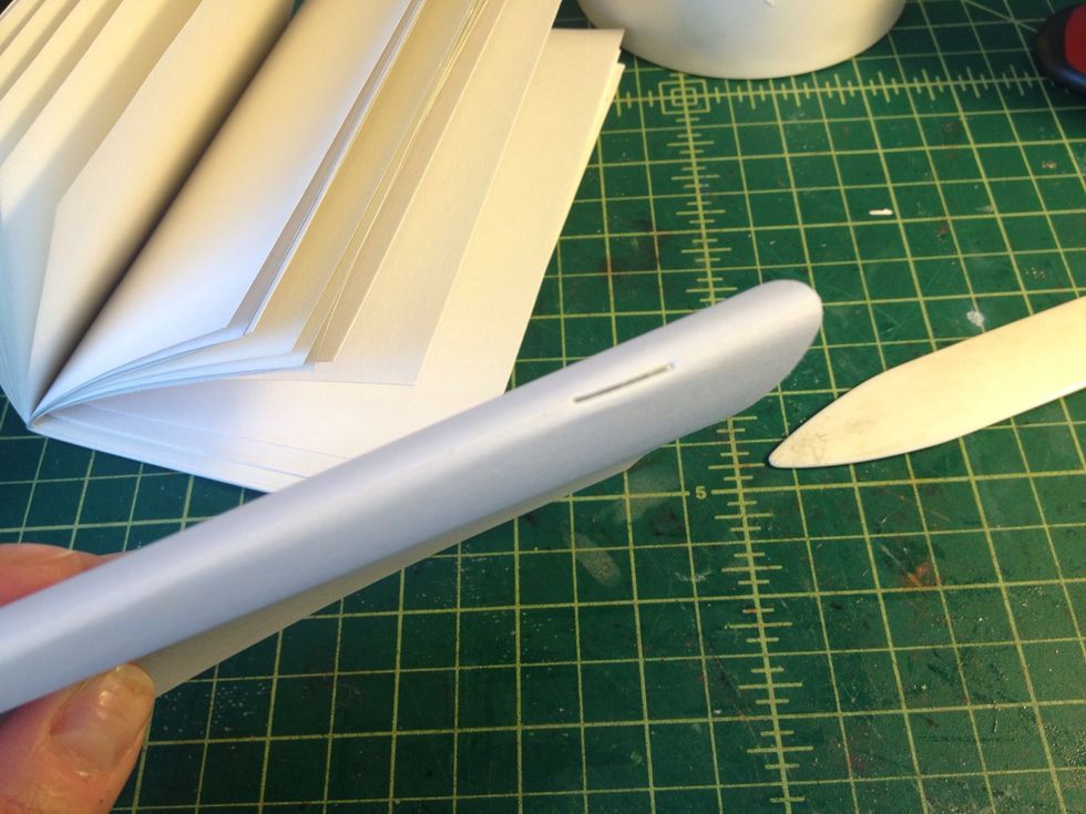 The spine.