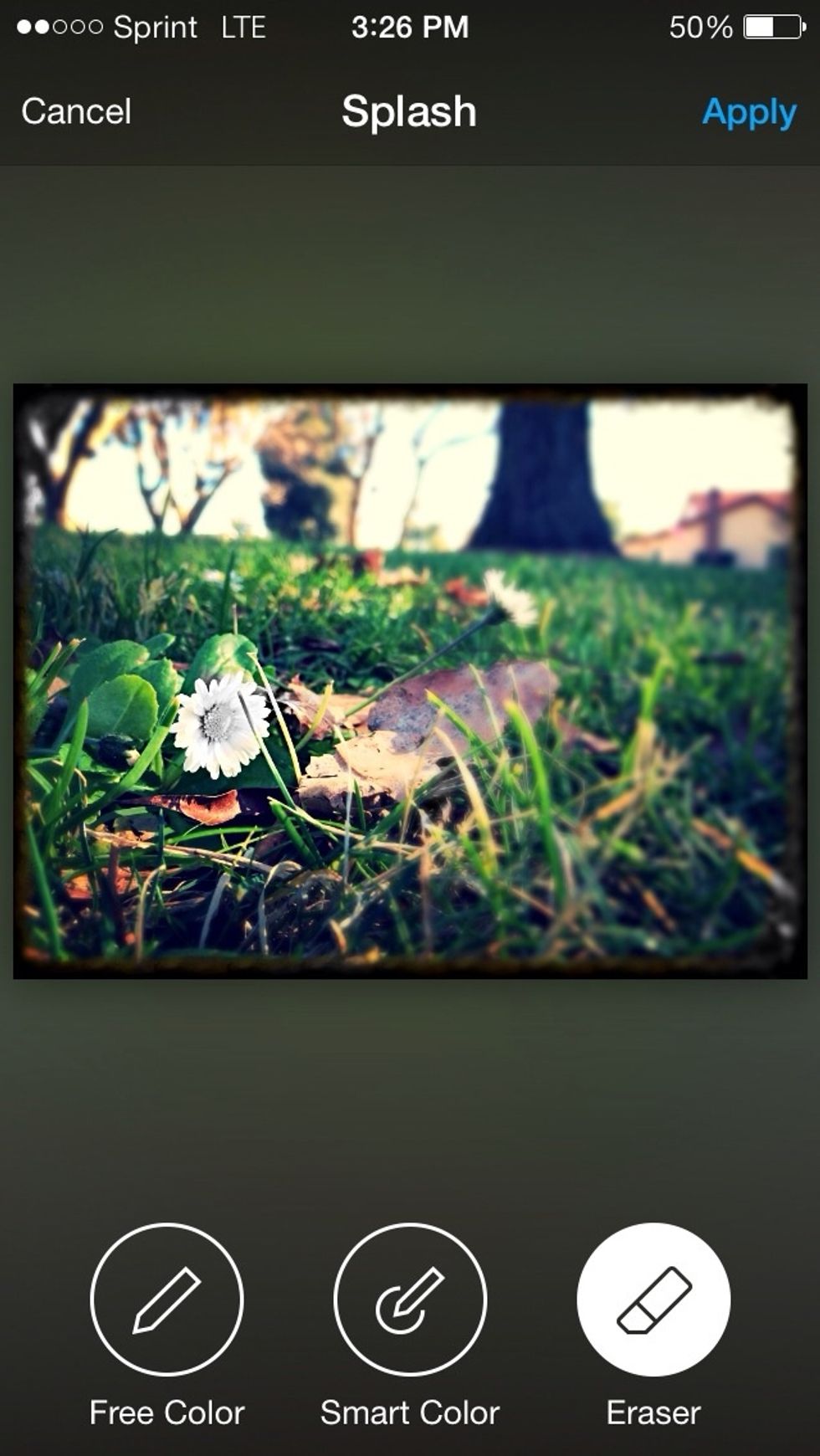 the Splash tool is really cool. you can isolate a part of the picture and make part of it in color or in black and white