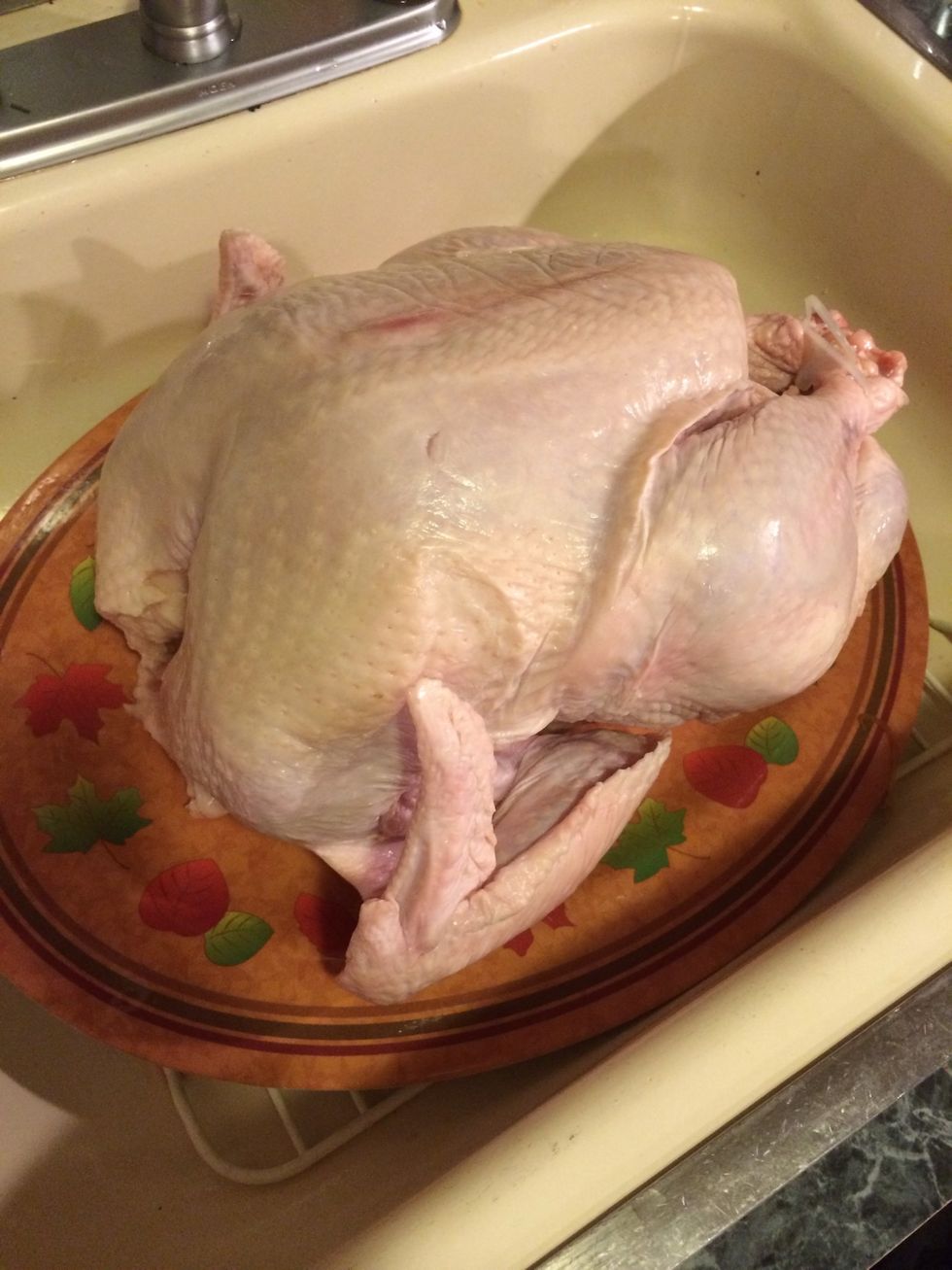 The star of this show