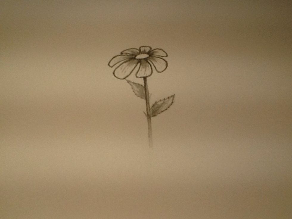 The stem goes from dark shading at the top, to lighter shading lower down, where the flowers shadow is less bold