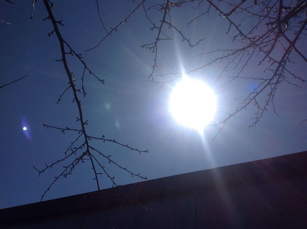 The sun gives off electromagnetic energy, which is converted into chemical energy by plants through photosynthesis. Without energy anything living cannot survive.