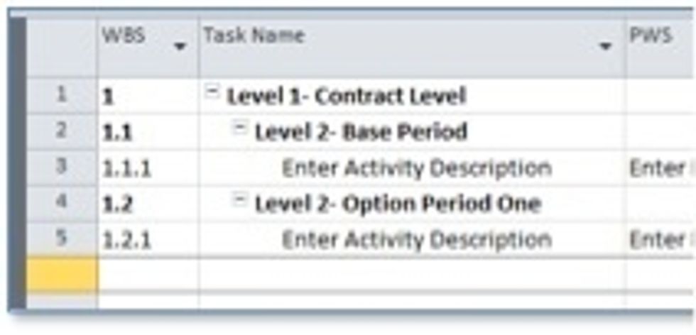 The template is pre-loaded with an example structure. Enter tasks under the Base Period as appropriate; when complete continue to the Option Period as necessary