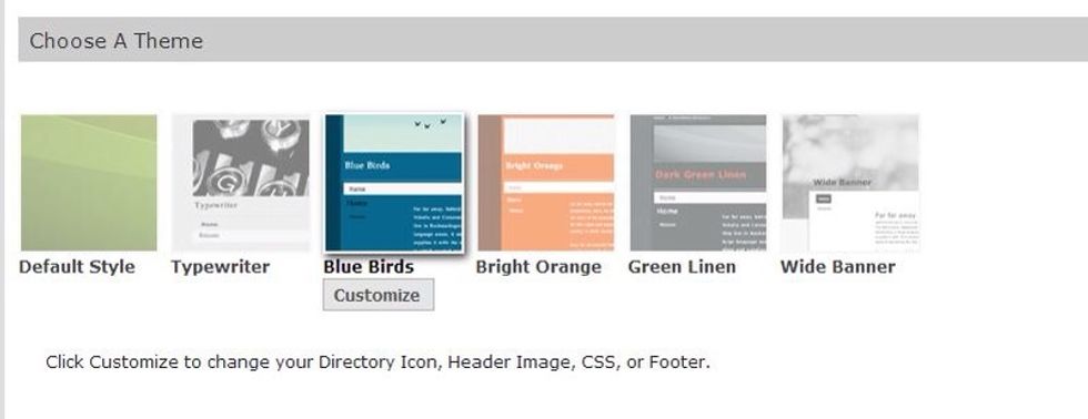 The theme that you selected when creating your e-Portfolio will be highlighted. In this screen, the Blue Birds theme is highlighted. Select the Customize button under your theme.