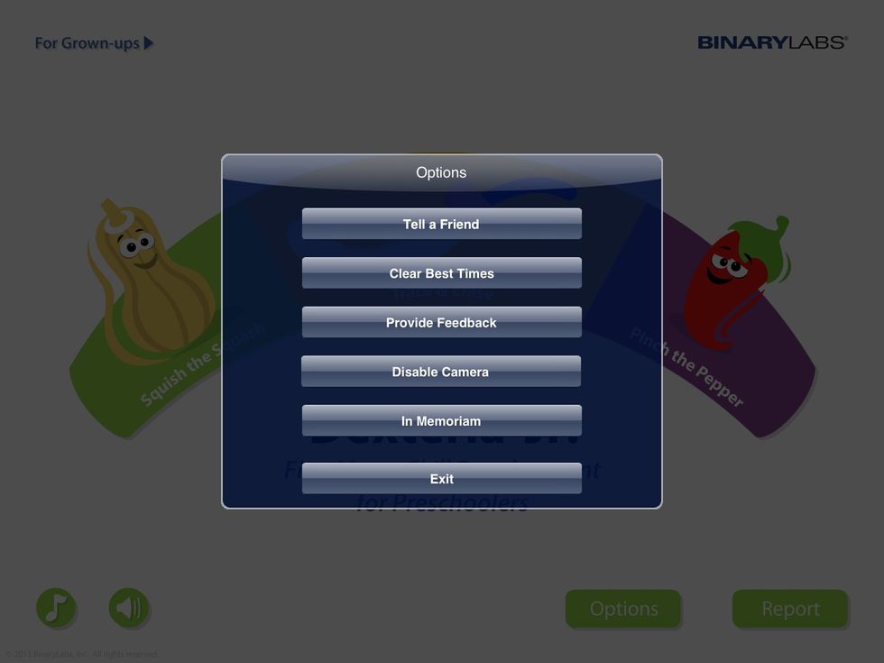 The therapist can choose to share the results with a friend, clear the best times, request feedback from Dexteria Jr., or disable the camera if the child does not want their picture taken.