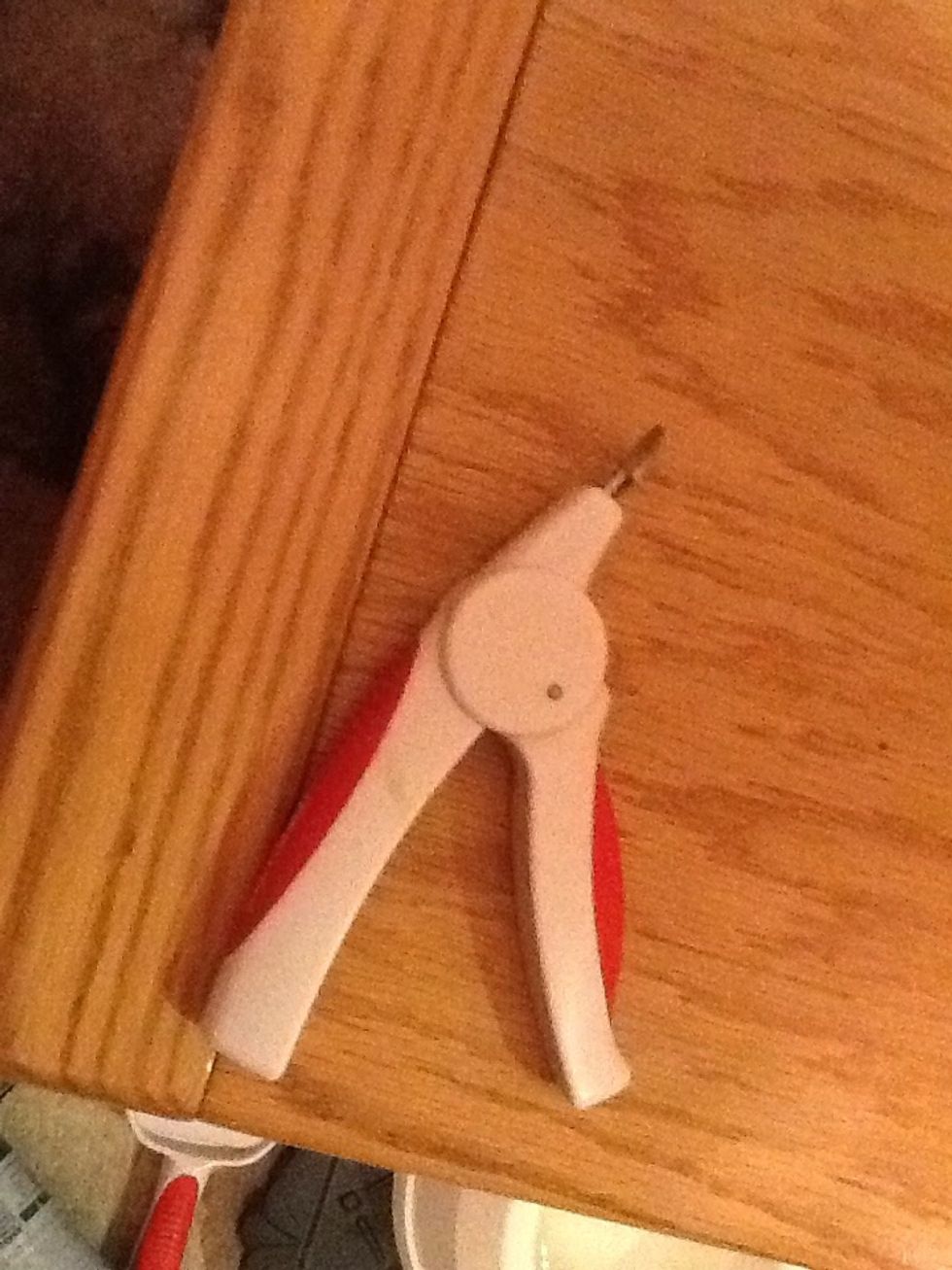 The tool to trim the dogs nails..