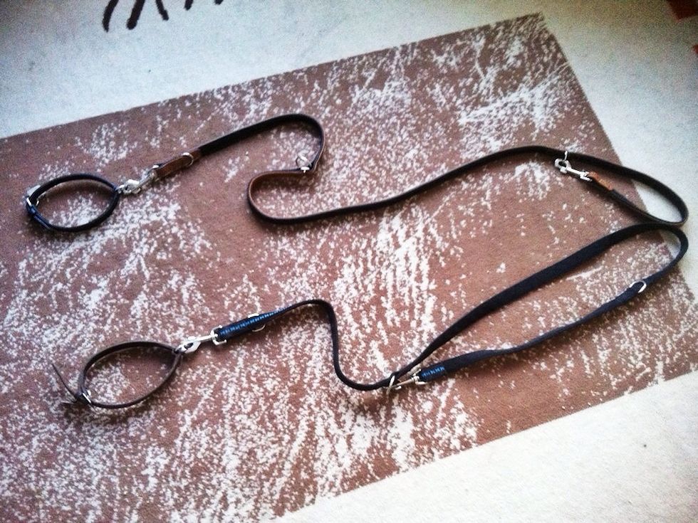 The two leashes are not connected to each other.