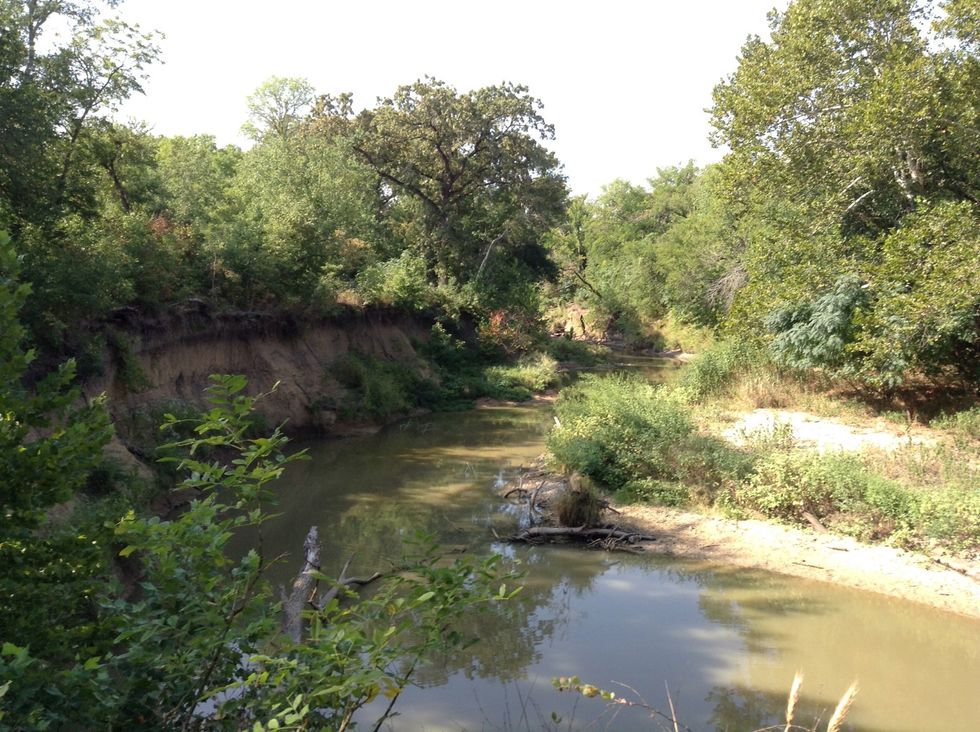 The water made a curve on the edge (day1).