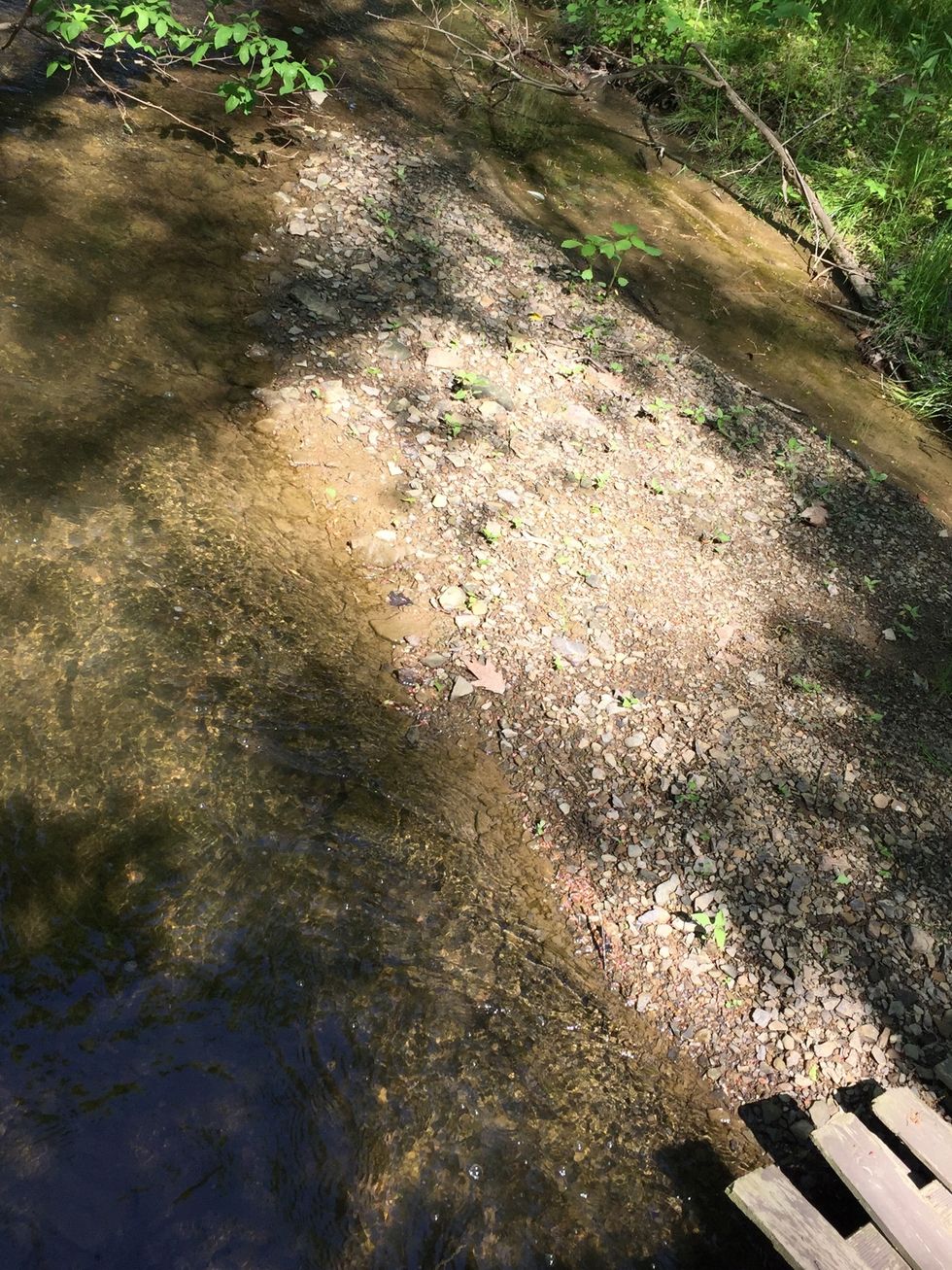 The water takes the rocks off of the land moving it down along with lots of other rocks (Erosion)