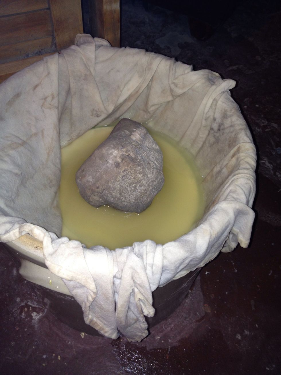 The weight will keep the saltwater on top of the cabbage