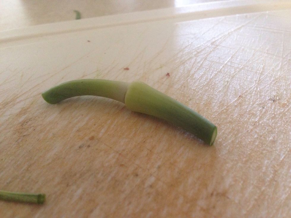 The whole stem of the Garlic scape can be used with exception of the pod. Chop off all pods and discard. Then chop remaining Scapes small enough to fit in a high speed blender.
