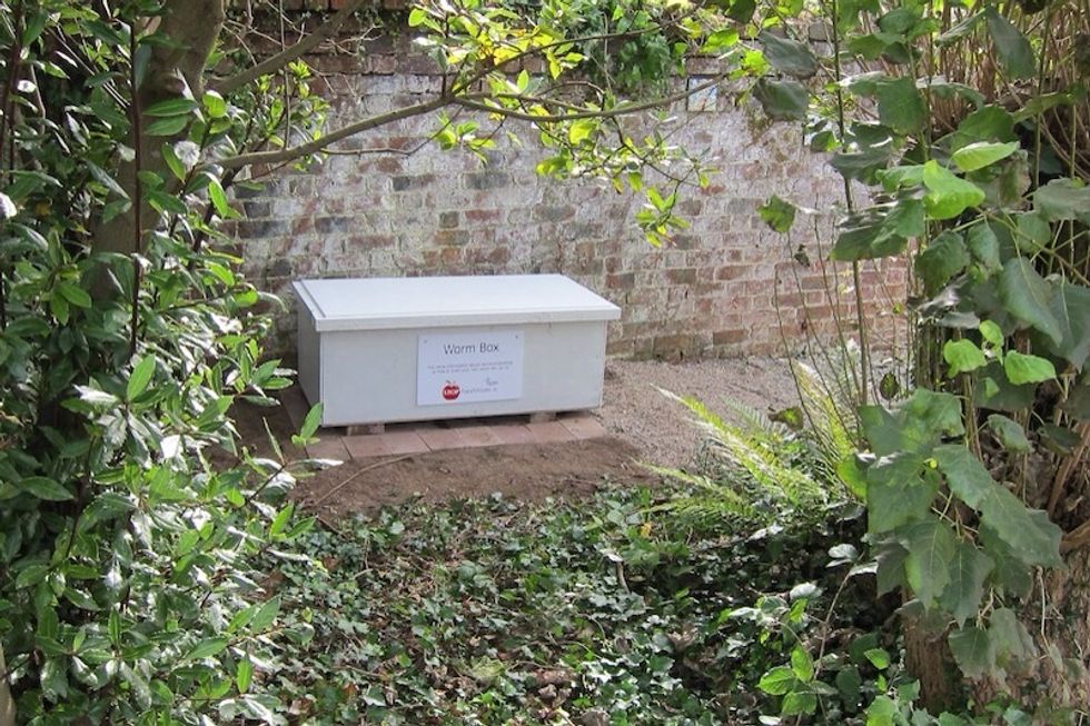 The worm bin in its new home