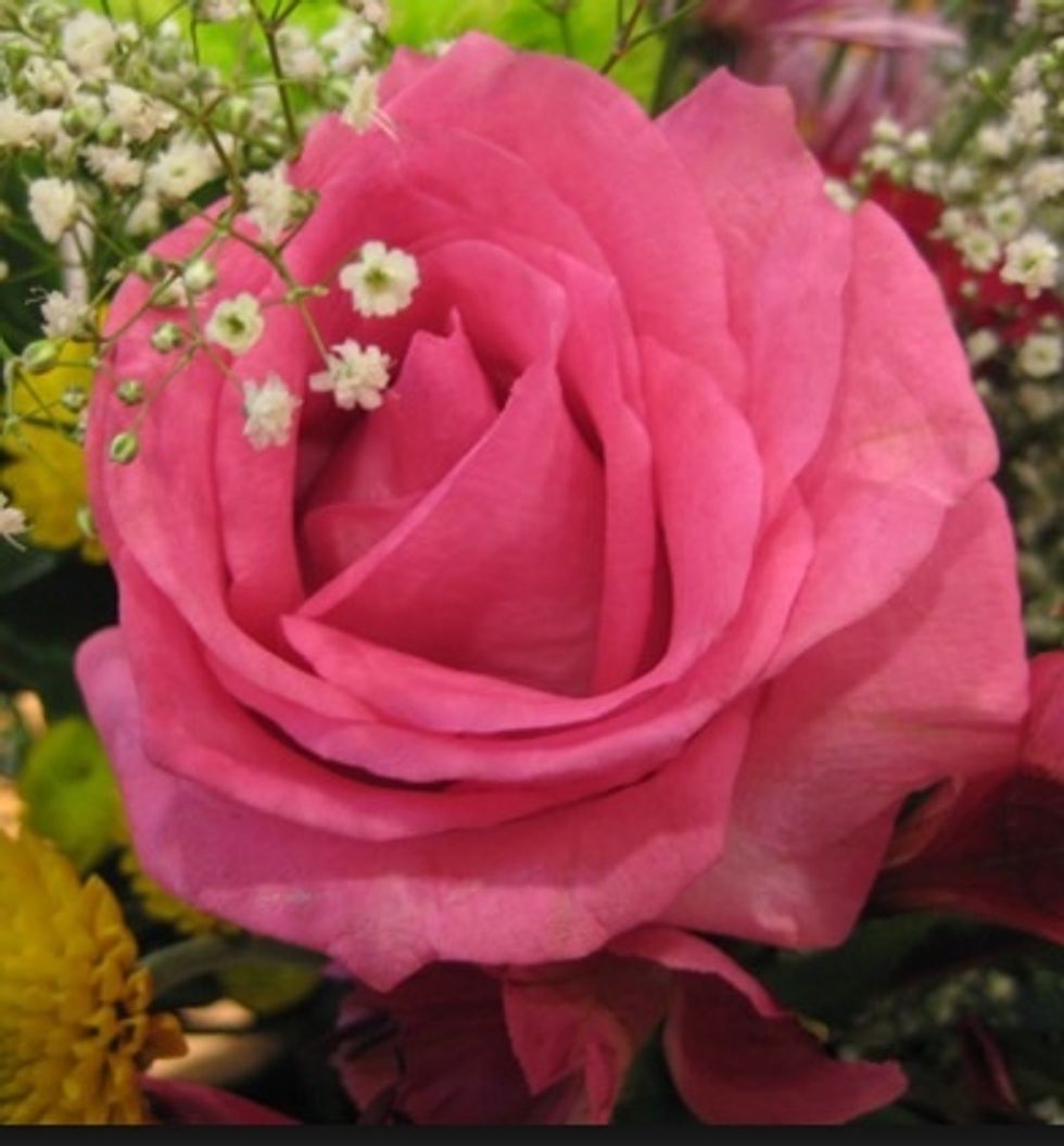 Their scent is created from sweet nectar, strategically placed at the bottom of the petals so insects will seek it out and help pollinate flowers