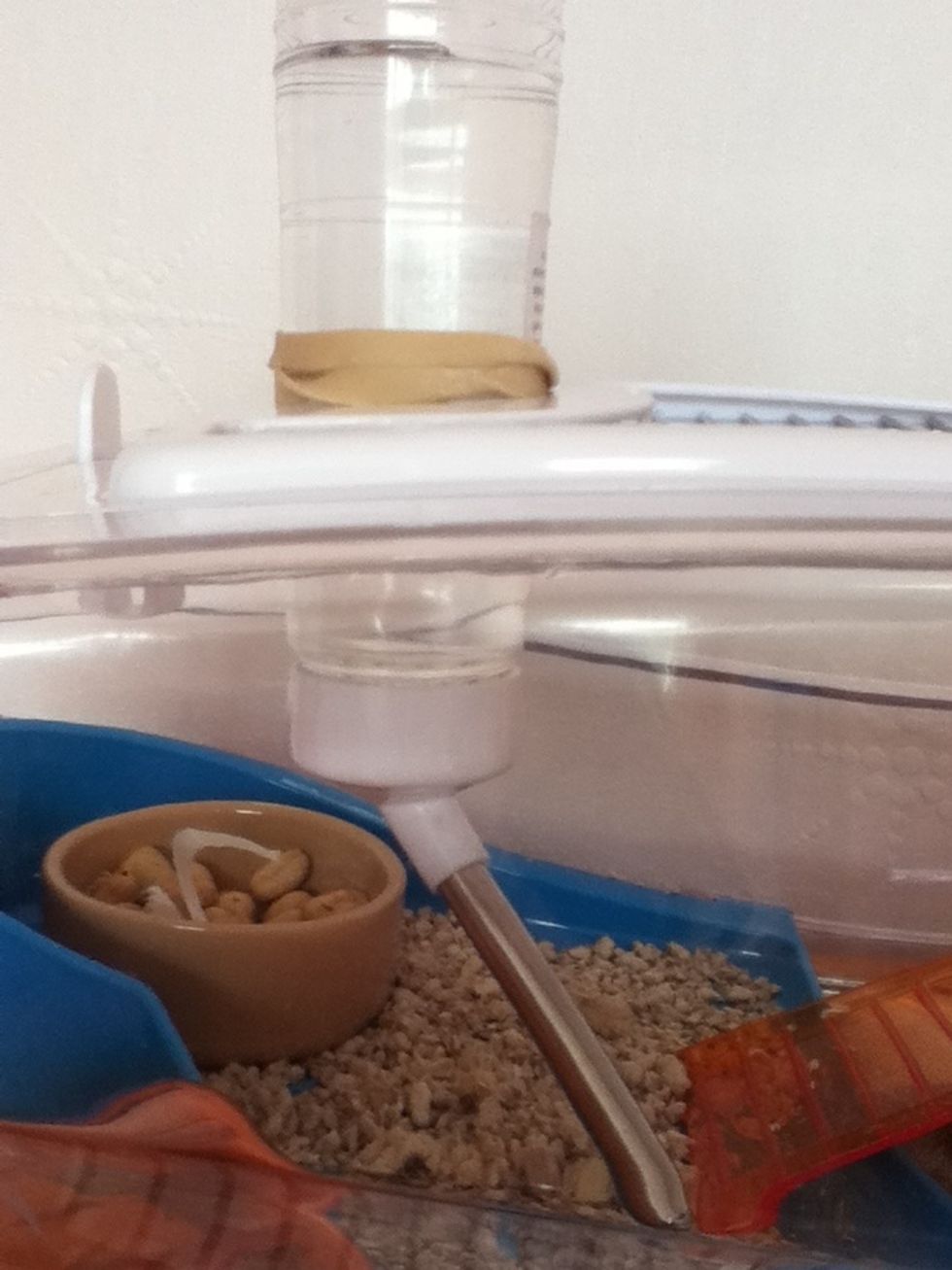 Then a water bottle.