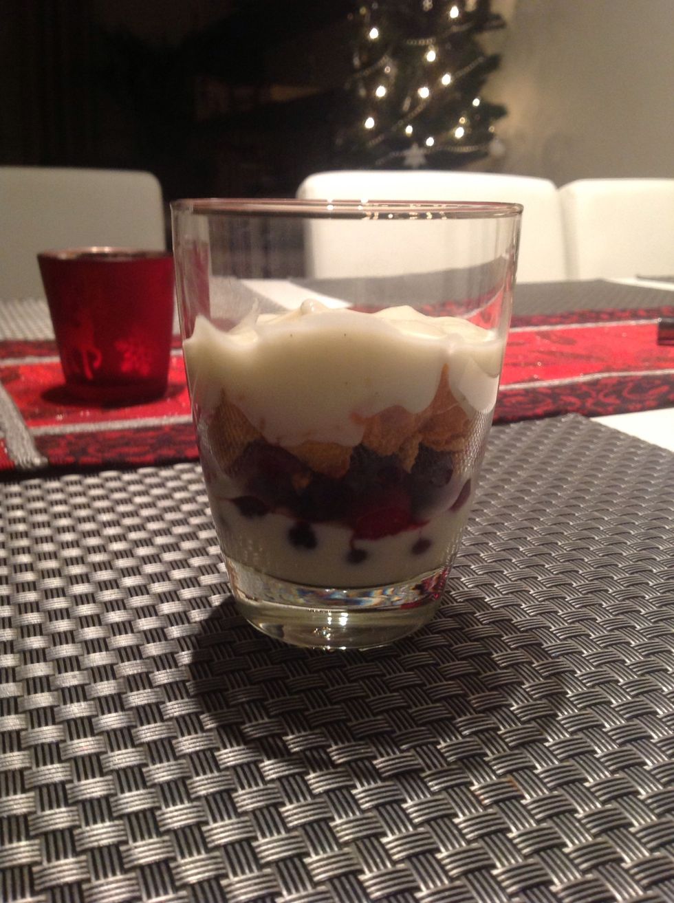 Then add a layer of yogurt.