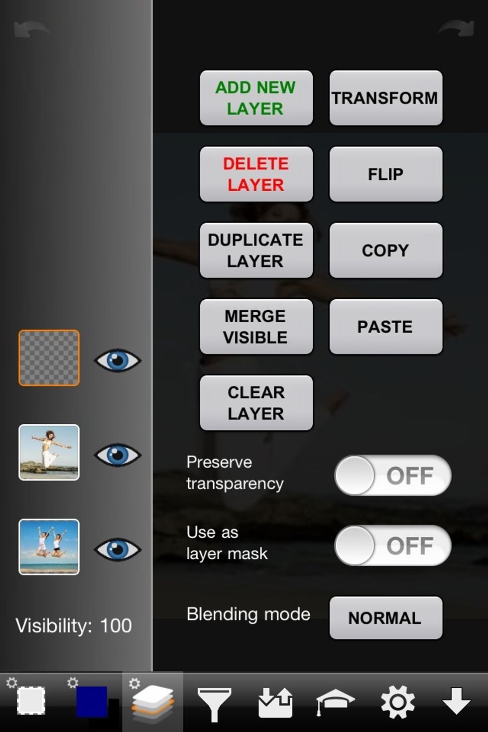 Then add a new blank transparent layer to the image.
