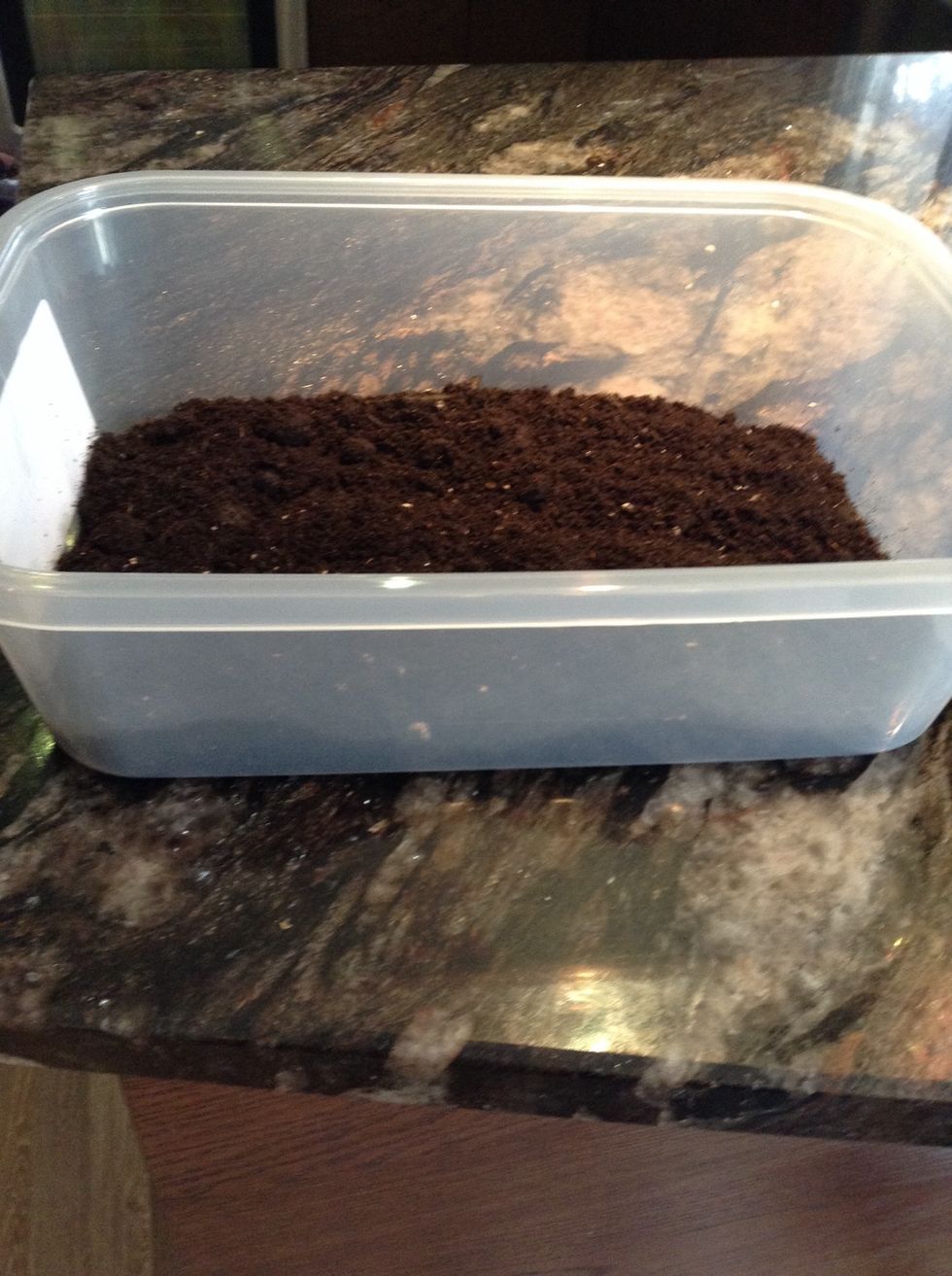 Then add some soil and spread  it around,