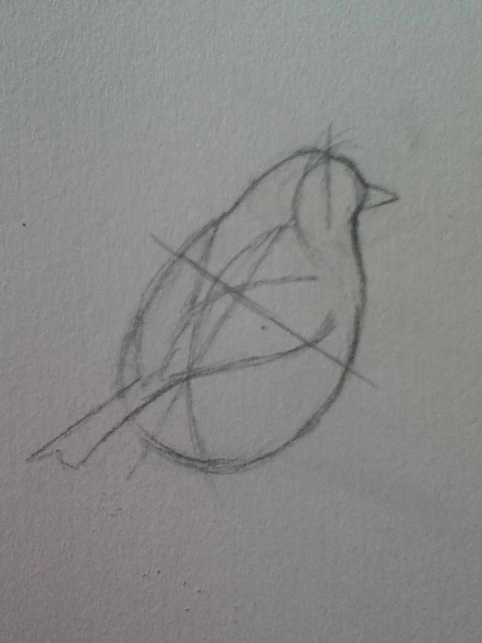 Then add the wings and tail, this bird's wings are show at this angle but the left only partially, and the tail emerges out of the area the two wings join on the body