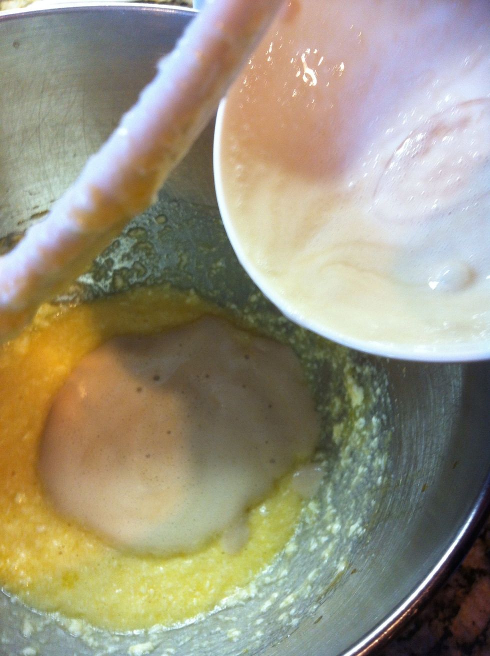 Then add the yeast mixture to this. As you can see its proofed some and is thicker and frothy. Mix that for a minute then add 1 c whole milk that has been warmed for about a min in microwave.