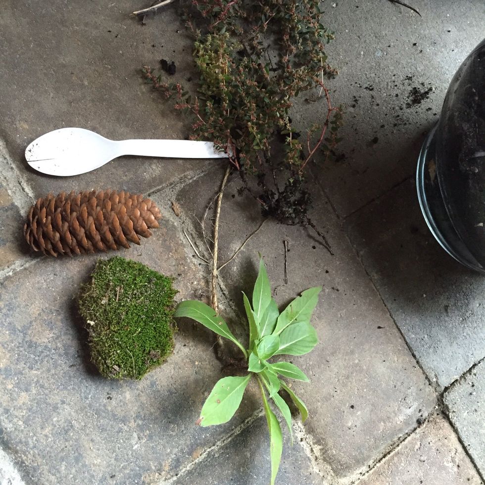 Then add your pine cones and you moss remember it needs to look presentable \ud83d\ude00\ud83d\ude09