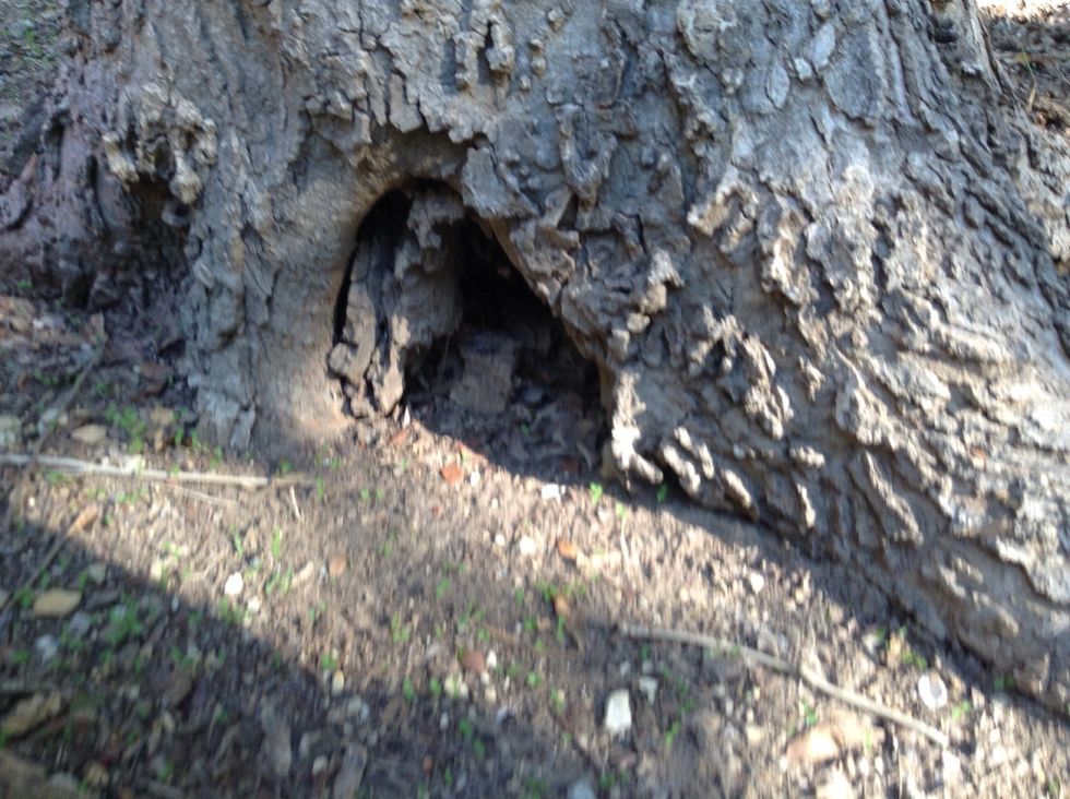 Then after looking at many things, we also do group stations. It's where a teacher gives us a question, and we have to figure it out. If we get a math question correct, we get a bead.